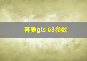 奔驰gls 63参数